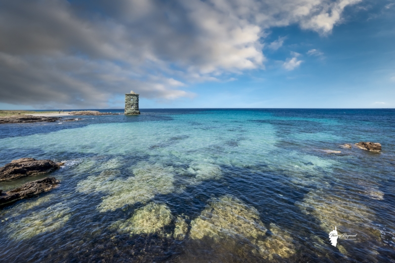 Tour genoise ste Marie - Cap Corse photographe corse