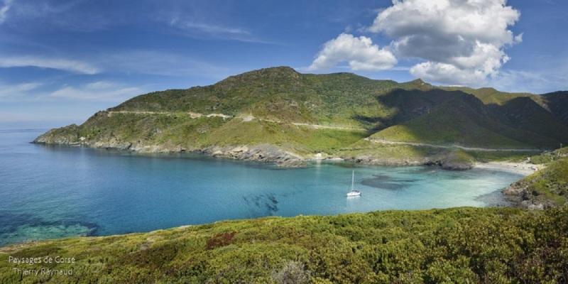 Marine d'Aliso du Cap Corse ,Thierry Raynaud