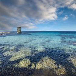 Tour genoise ste Marie - Cap Corse photographe corse