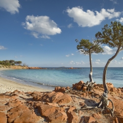 Plage de Palombaggia à Porto Vechio _ Thierry Raynaud photographe