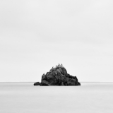 la bande des quatre ©thierryraynaud