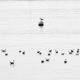 Le gardien de baignade ©thierryraynaud