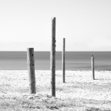 Les 4 de Capo Di Feno ©thierryraynaud