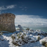 La Tour génoise de Capitello ,Thierry Raynaud