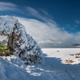 Neige sur Porticcio ,Thierry Raynaud