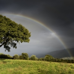 Arc en ciel dans la campagne corse - photographe corse Thierry Raynaud