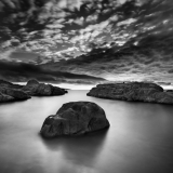 Hippopotame Corse  en immersion ,Thierry Raynaud