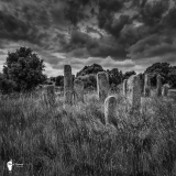 Les dolmens de Cauria ,Thierry Raynaud