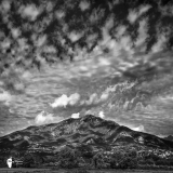 Les moutons volants de l'Aragnasca ,Thierry Raynaud