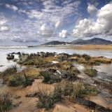 Zone humide du Prunelli ©thierryraynaud